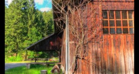 La scierie du Machet La scierie du Machet