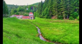 Pot de Vin Pot de Vin