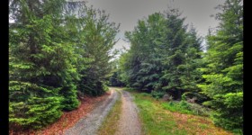 Vers le col de la Sablière Vers le col de la Sablière