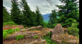 Après le Haut Chaumont, vue sur la vallée de la Plaine Après le Haut Chaumont