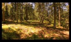 En montant vers le Grossmann En montant vers le Grossmann