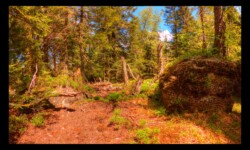 Sur le Grossmann Sur le Grossmann