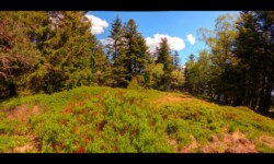 Sur le Grossmann Sur le Grossmann