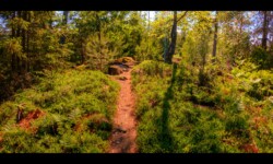 Sur l'Eichelkopf Sur l'Eichelkopf