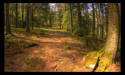 En montant vers le Grossmann En montant vers le Grossmann