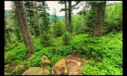 En allant vers le Hengst En allant vers le Hengst