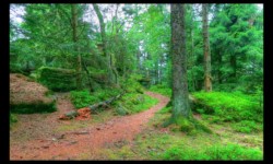 Sur le plateau d'Urstein Sur le plateau d'Urstein