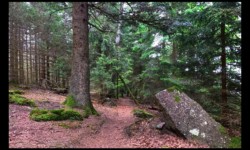 Sur le plateau d'Urstein Sur le plateau d'Urstein