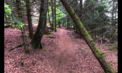 Sur le plateau d'Urstein Sur le plateau d'Urstein