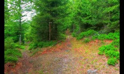 A gauche, Elsassblick. A droite, Urstein A gauche, Elsassblick. A droite, Urstein