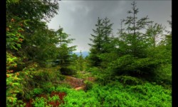 Sur le plateau d'Urstein Sur le plateau d'Urstein