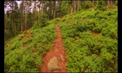 En allant vers le Hengst En allant vers le Hengst