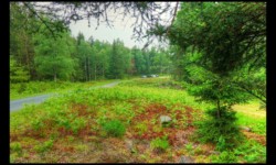 Route des Russes et parking d'Elsassblick Route des Russes et parking d'Elsassblick