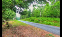 Route des Russes Route des Russes