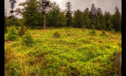 Vers Urstein depuis le Hengst Vers Urstein depuis le Hengst