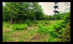Vers Urstein depuis le Hengst Vers Urstein depuis le Hengst