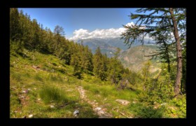 la longue montée vers la baisse de Chiay Bendola : la longue montée vers la baisse de Chiay