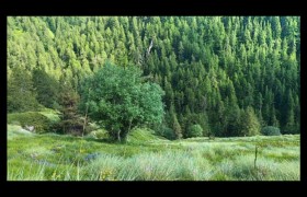 en bas coule le ruisseau de Marta en bas coule le ruisseau de Marta