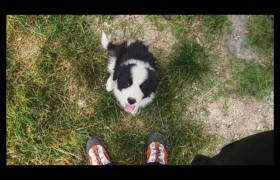 emmène-moi avec toi, s'il te plaît emmène-moi avec toi