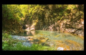 végétation luxuriante Bendola : végétation luxuriante