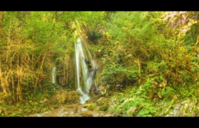 affluent en rive gauche Bendola : affluent en rive gauche