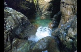 Bendola inférieure sauvage. entrée de bief Bendola inférieure sauvage. entrée de bief