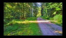 En montant le long du ruisseau de Ravine En montant le long du ruisseau de Ravine