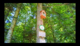 Les Vierges de Dialtrepoix Les Vierges de Dialtrepoix