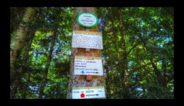 Les Vierges de Dialtrepoix - Les chapelottes Les Vierges de Dialtrepoix