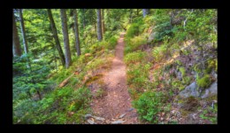entre le col de Dialtrepoix et le Fourneau entre le col de Dialtrepoix et le Fourneau