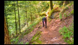 Bella entre le col de Dialtrepoix et le Fourneau entre le col de Dialtrepoix et le Fourneau