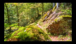 entre le col de Dialtrepoix et le Fourneau entre le col de Dialtrepoix et le Fourneau
