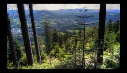 entre le col de Dialtrepoix et le Fourneau - Moyenmoutier entre le col de Dialtrepoix et le Fourneau