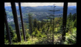 entre le col de Dialtrepoix et le Fourneau - Moyenmoutier entre le col de Dialtrepoix et le Fourneau