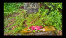 Tombe, au Fourneau Tombe, au Fourneau