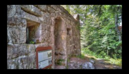 Roche Mère Henry Roche Mère Henry