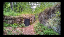 Sur le Mont Pelé - site de la Roche Mère Henry Sur le Mont Pelé - site de la Roche Mère Henry