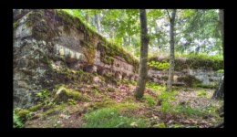 Sur le Mont Pelé - site de la Roche Mère Henry