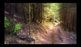 Vers le col de la croix de Malfosse Vers le col de la croix de Malfosse