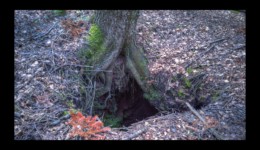 Entrée d'une sape vers la Pierre Piquée Entrée d'une sape vers la Pierre Piquée