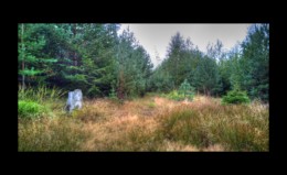 1er col en montant vers Hunurst 1er col en montant vers Hunurst