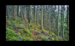 Sentier de Nollenbourg Sentier de Nollenbourg