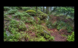 Sentier de Nollenbourg Sentier de Nollenbourg