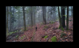 Près du col de la Sayotte Près du col de la Sayotte