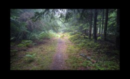 Près du col de la Sayotte Près du col de la Sayotte