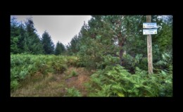 1er col en montant vers Hunurst 1er col en montant vers Hunurst