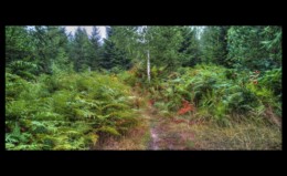 1er col en montant vers Hunurst 1er col en montant vers Hunurst