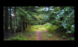 Vers le Monacker Vers le Monacker