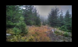 Vers le Monacker Vers le Monacker