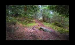 En montant vers Altmatt En montant vers Altmatt